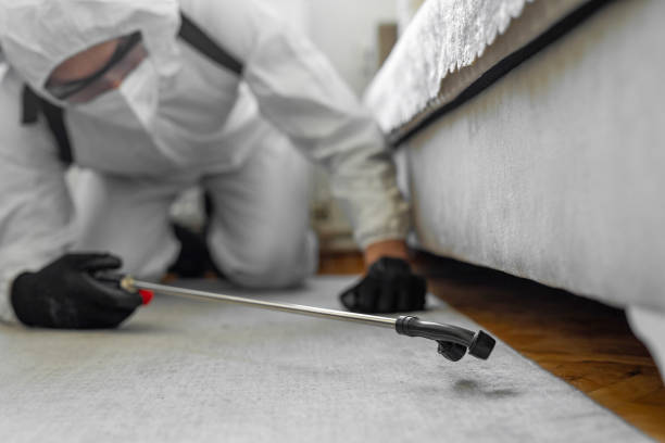 Professional Pest Control technician working in Silver Summit, UT