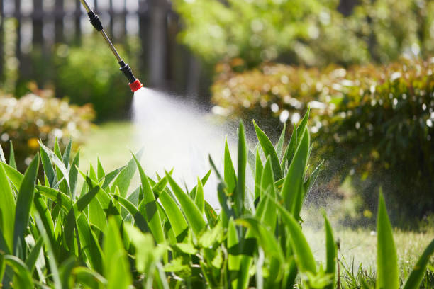 24/7 Emergency Pest Control experts in Silver Summit, UT